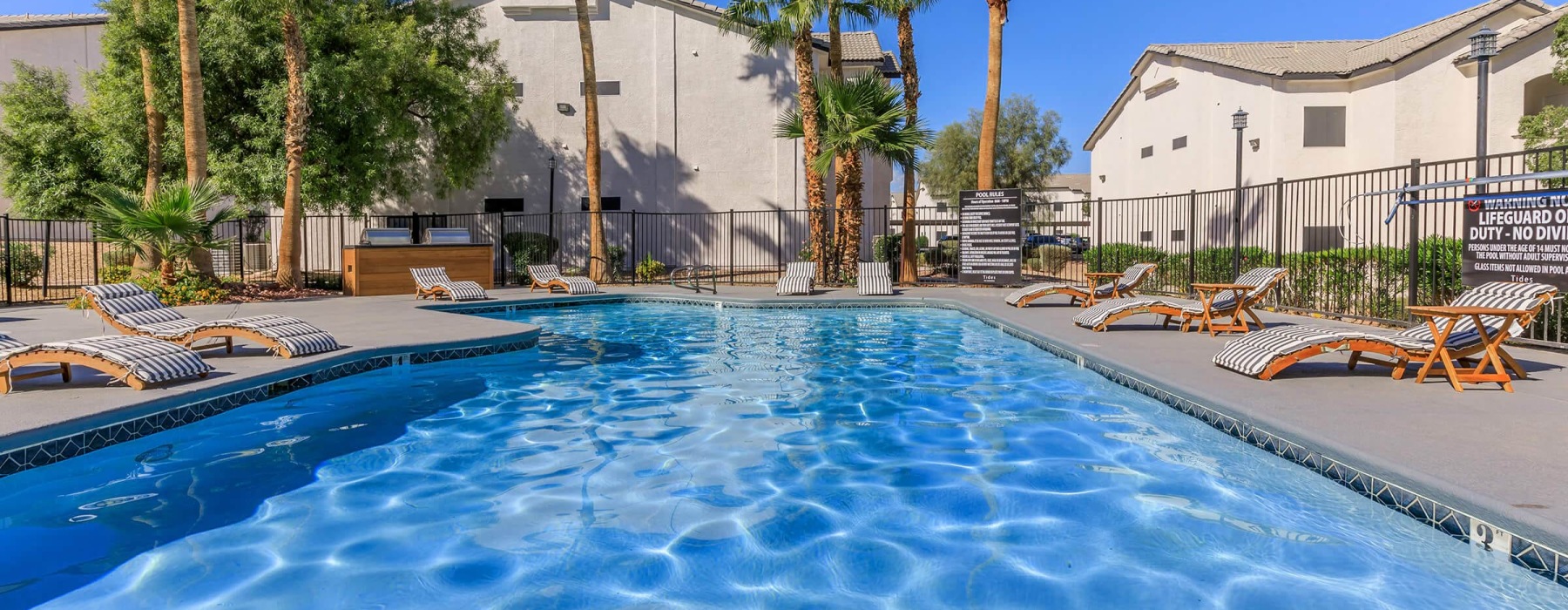 A swimming pool with lounge chairs and palm trees at The Solena Apartments luxury apartments in North Las Vegas, NV.
