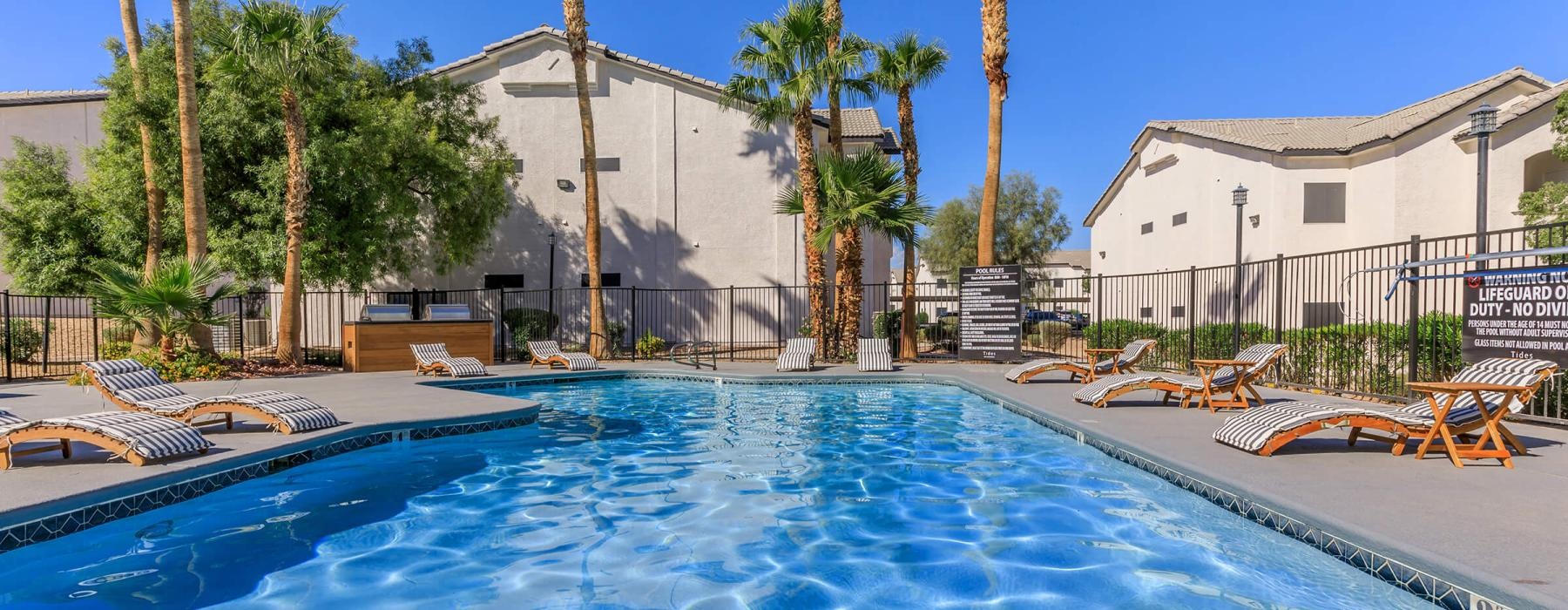 A swimming pool with lounge chairs and palm trees at The Solena Apartments luxury apartments in North Las Vegas, NV.