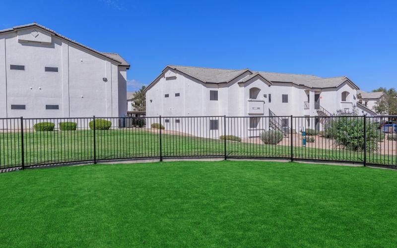 An outdoor grass area with fenced in sections at The Solena Apartments luxury apartments in North Las Vegas, NV.
